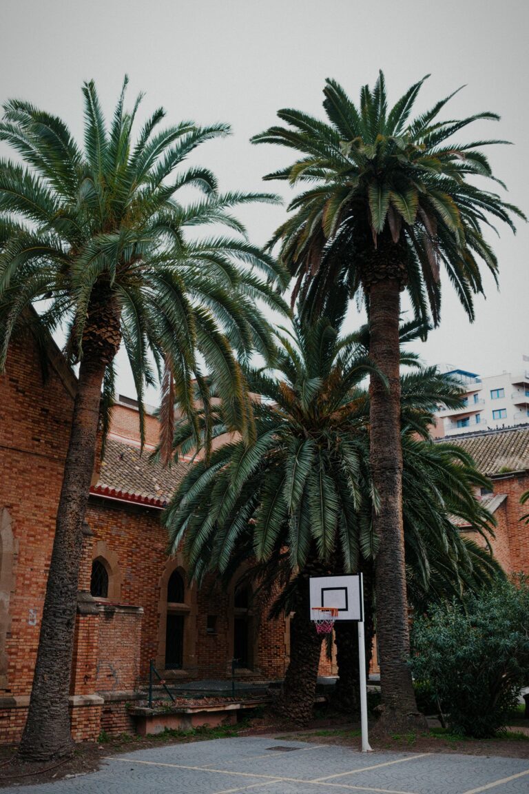 Photo by Trevor Morse