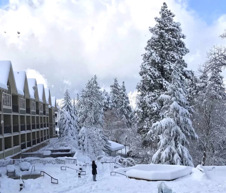 Photo by —-Angie ——-