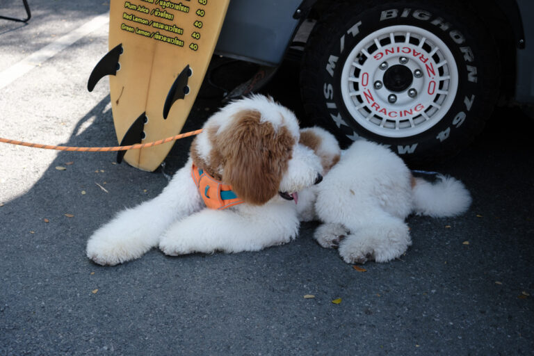 Photo by Nattapon Lueakaew