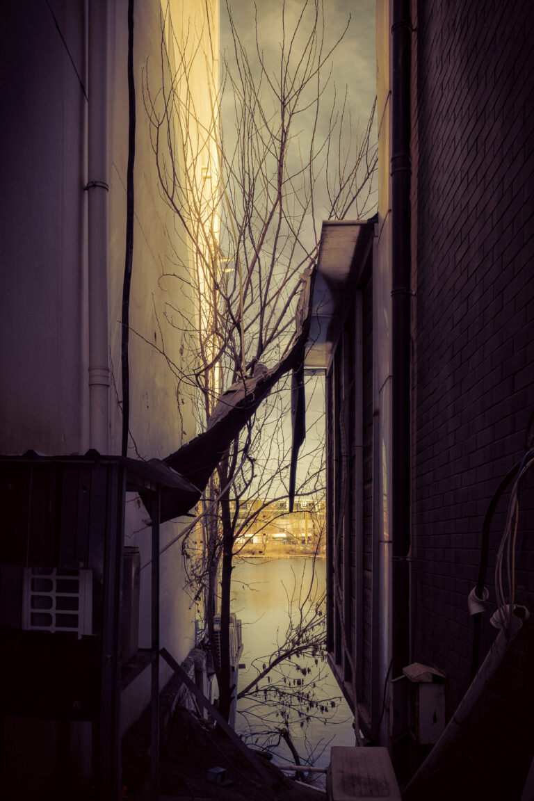 Photo by Alex 艾老师