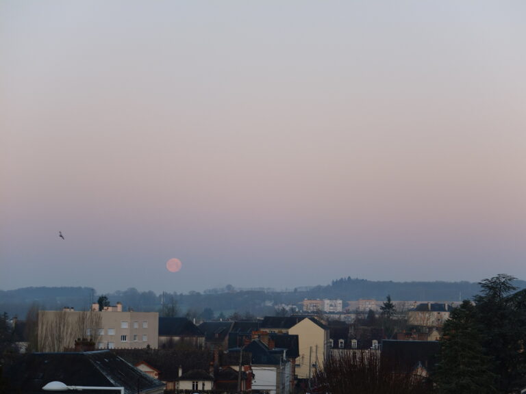 Photo by Remi Taylor