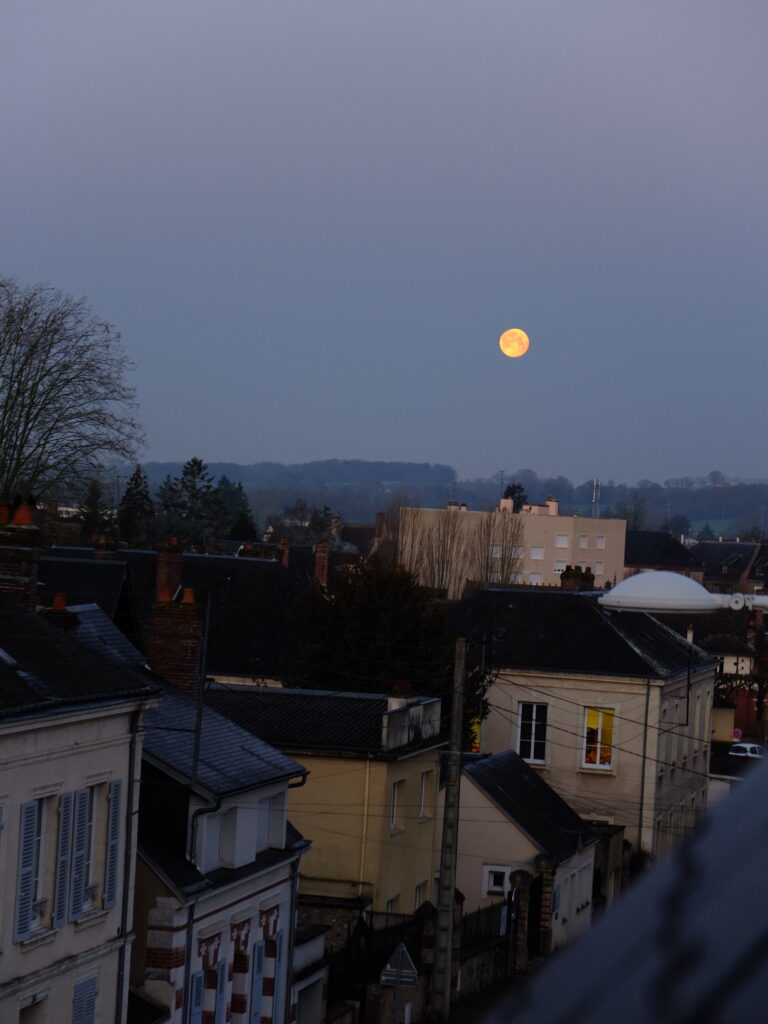 Photo by Remi Taylor