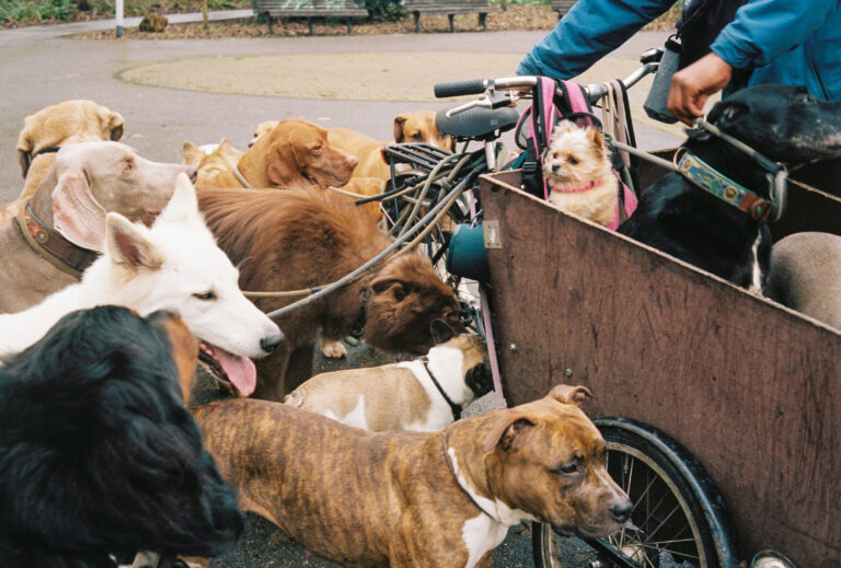 Photo by Hidde Kleijn