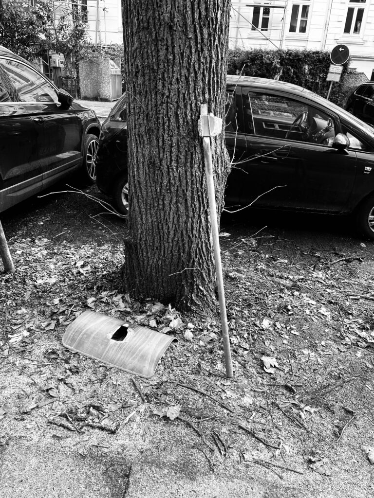 Photo by Thorsten Wenzel