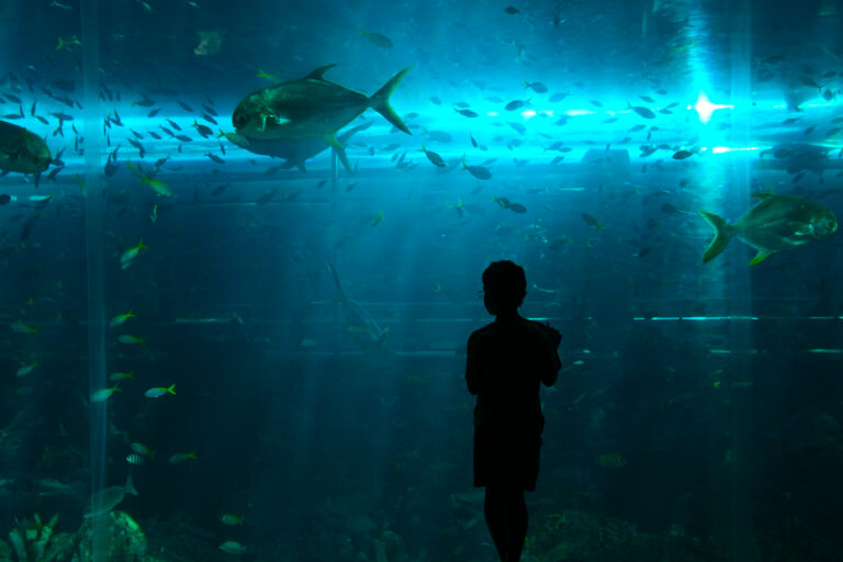 Photo by Sameer Khot