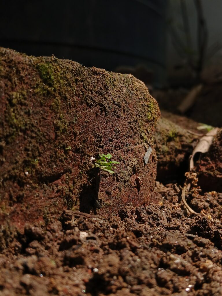 Photo by Ishrar E Mowla