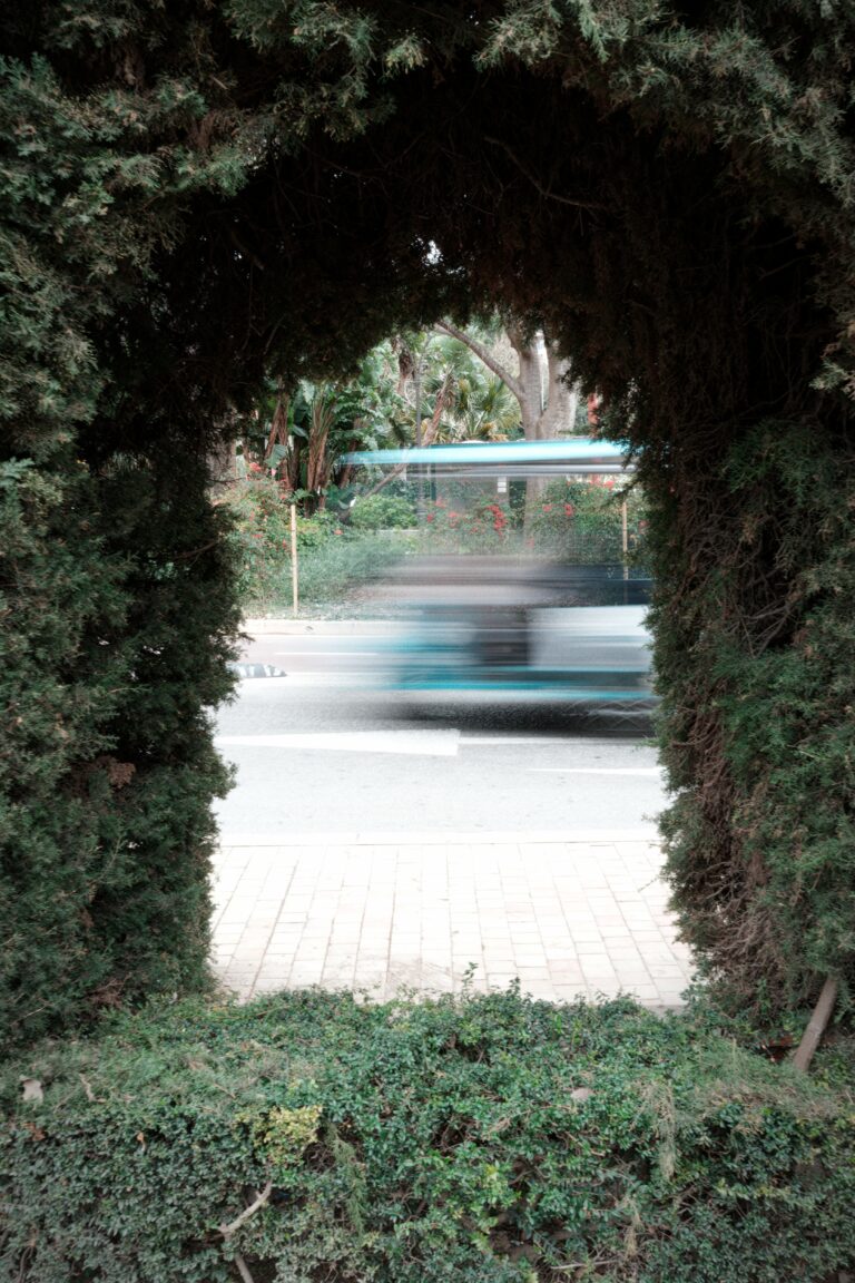 Photo by Trevor Morse