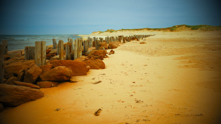 Photo by James Poyner