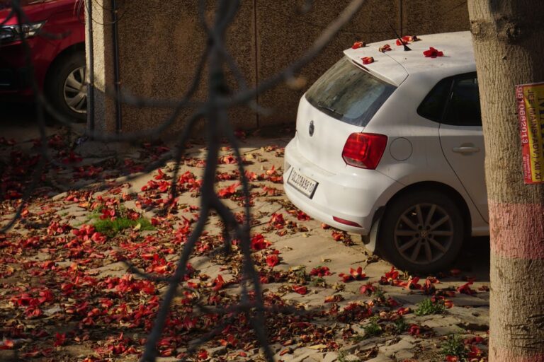 Street photo in Gurugram, India by Dhruv Coppisetti