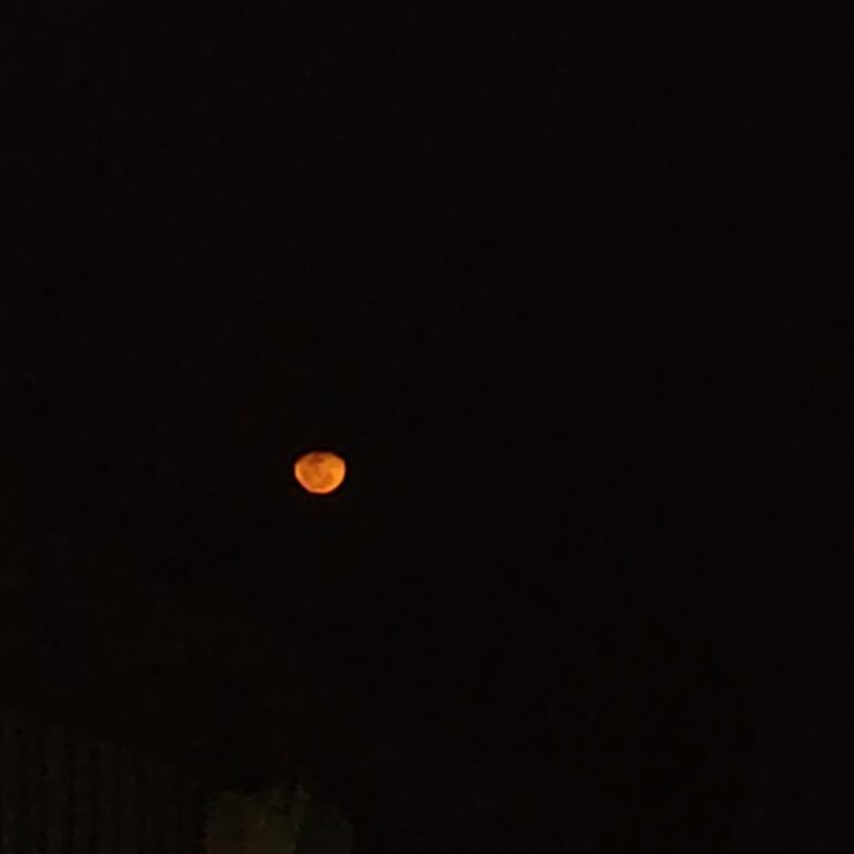 Photo by Tenochtitlan cuidad de México