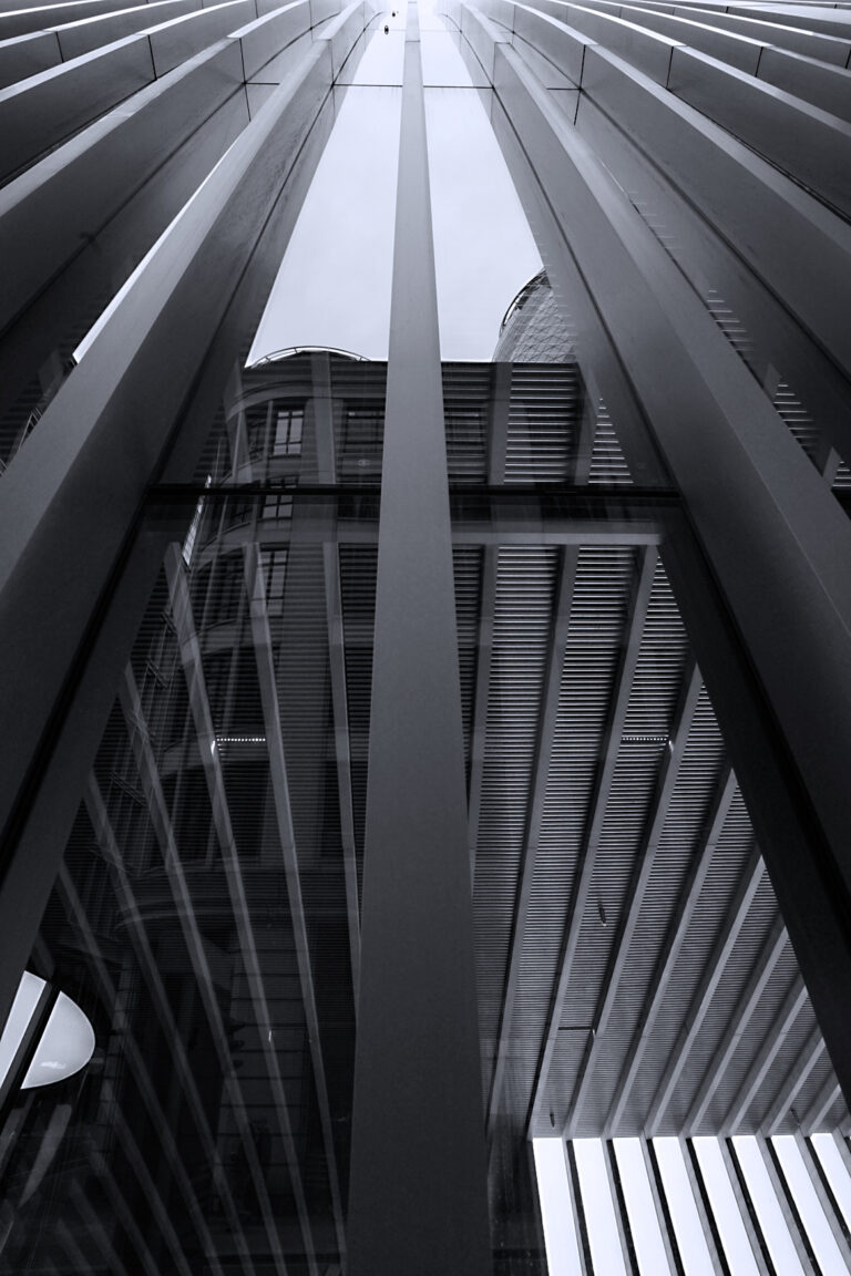 Photo by Franck Toto