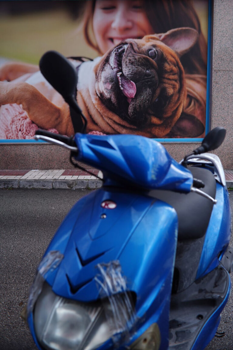 Photo by Pascal Hoerner