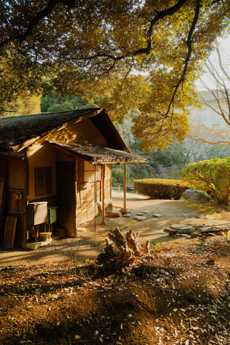 Photo by James Zhang