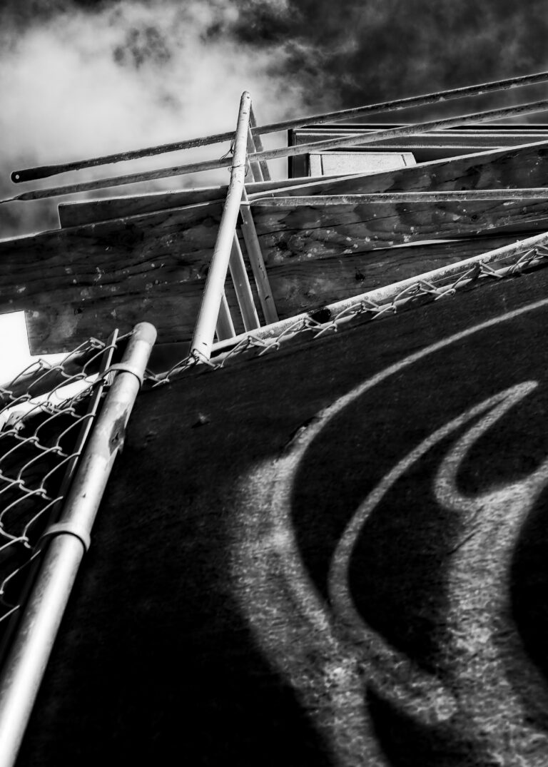 Photo by David Rockwood