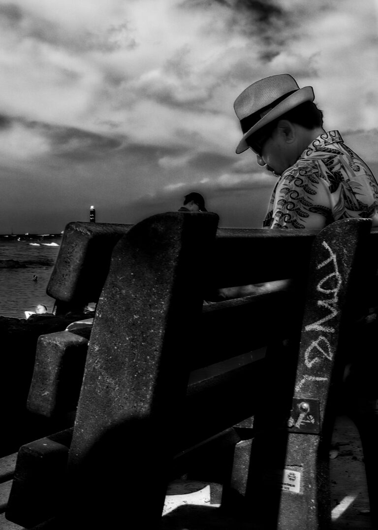 Photo by David Rockwood