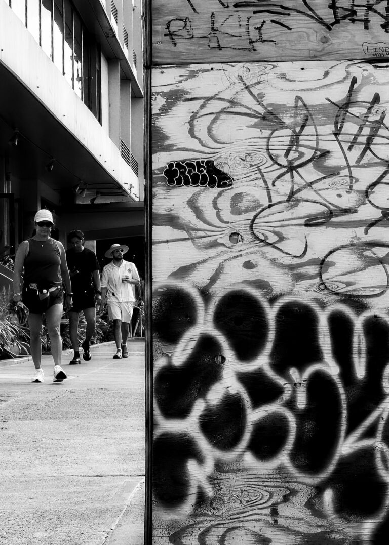 Photo by David Rockwood