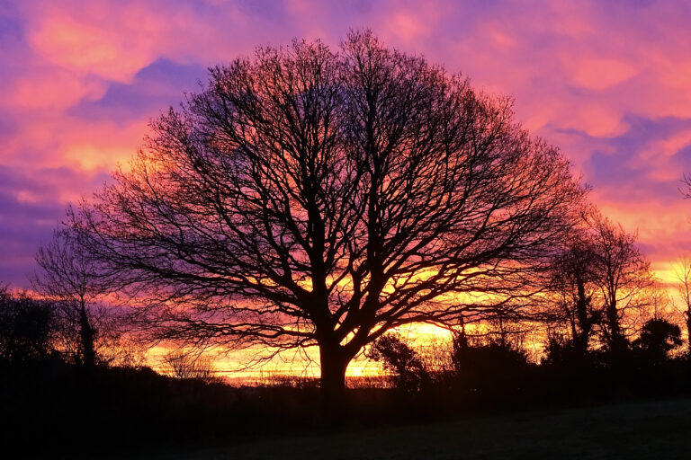 Photo by David George