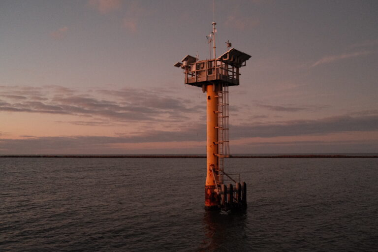 Photo by Brett Escuriex