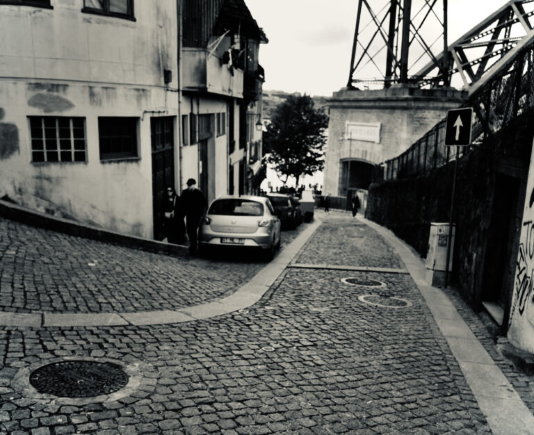 Photo by David Sheppard