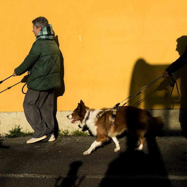 Photo by Pietro Tacconi