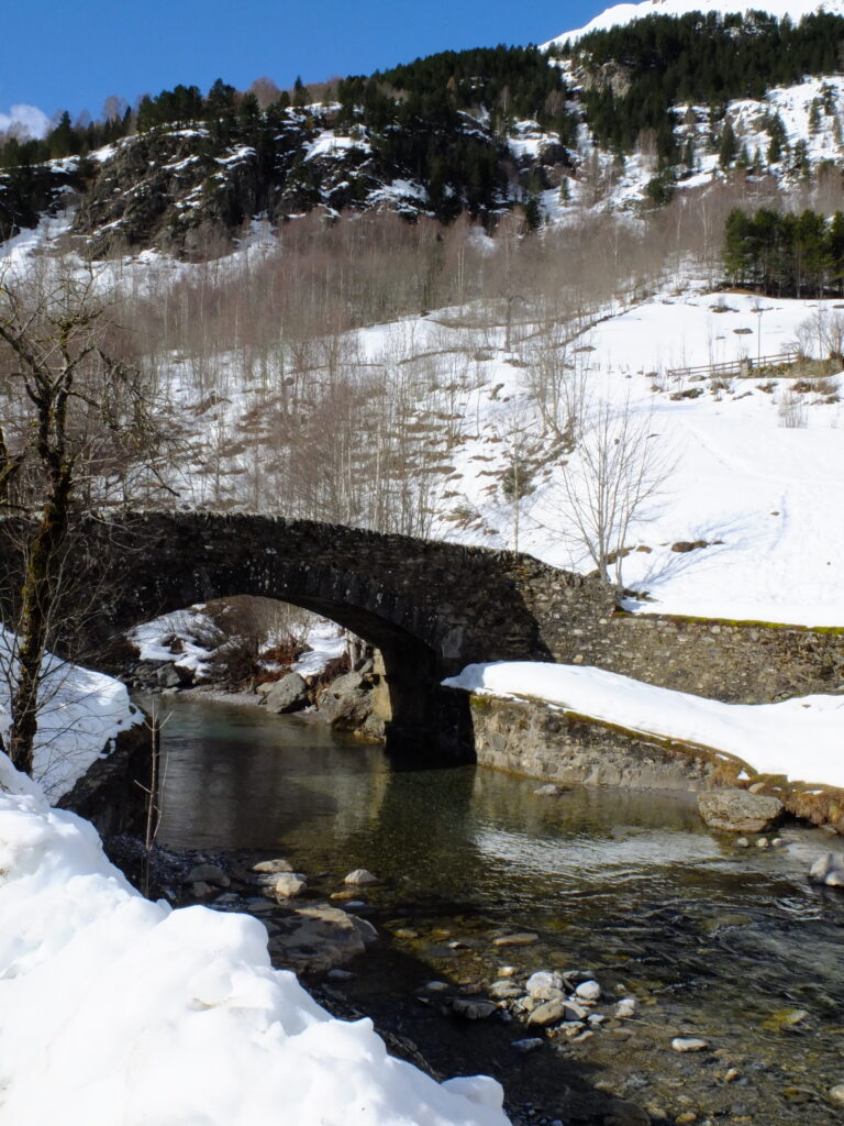 Photo by Remi Taylor