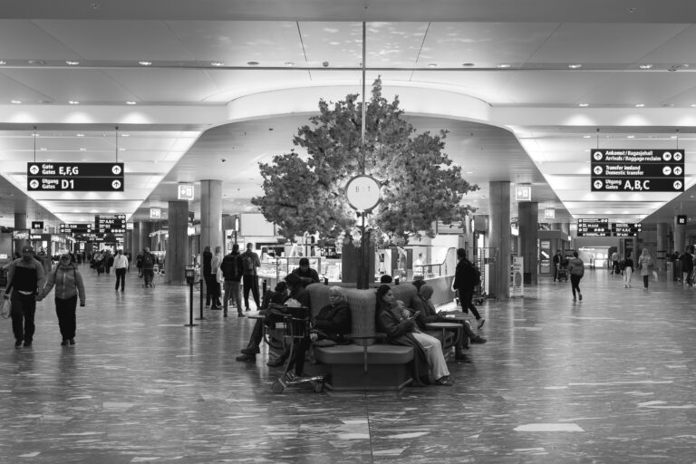 Photo by Marco Empanadilla