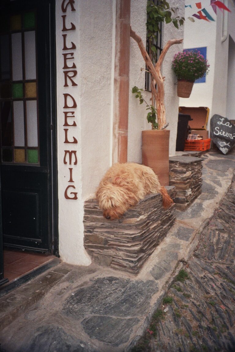 Photo by Jon Alberdi