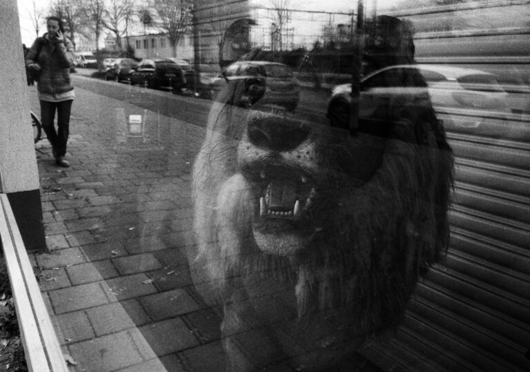 Photo by Drazen Fligic