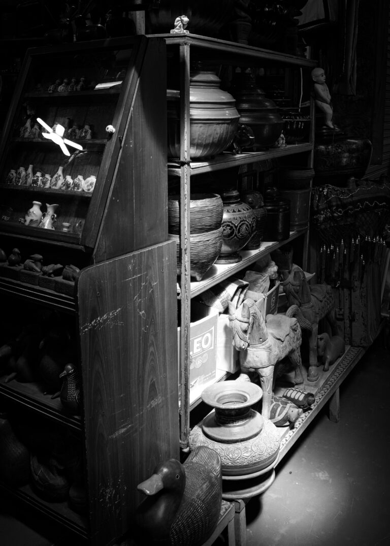 Photo by Stephen Lee