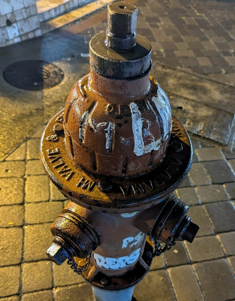 Photo by Adrian Romero