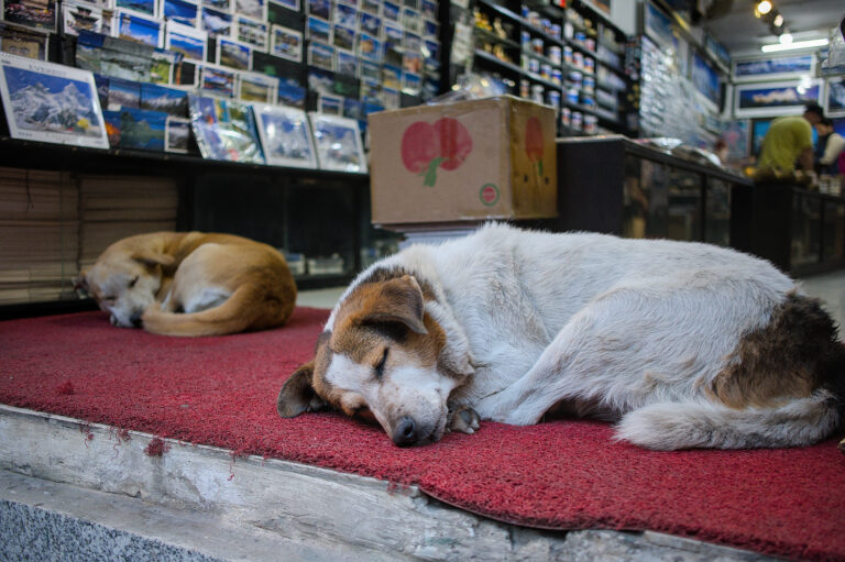 Photo by Black Pixel