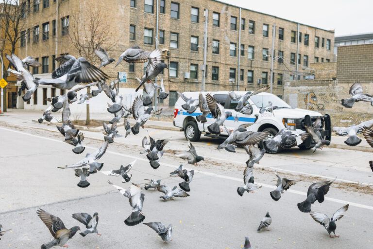 Photo by Alek Shnayder