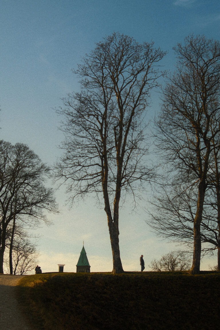 Photo by Wilson Tovar