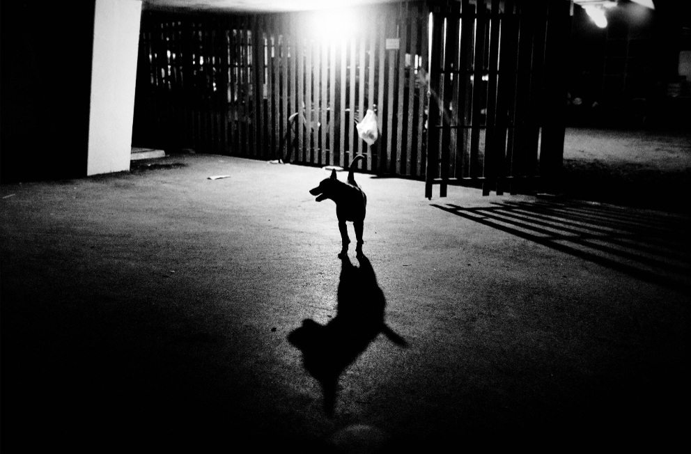 Paul Martin - Bangkok, Thailand