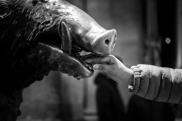 Photo by Thomas Bassetti