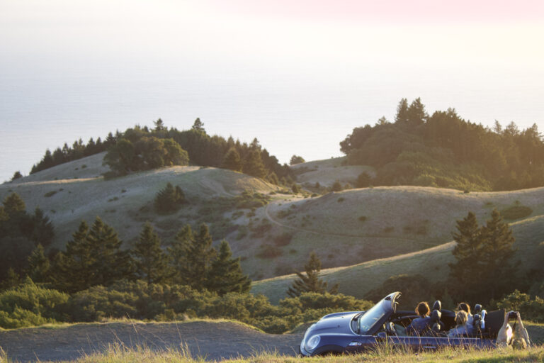 Photo by Will Hotton