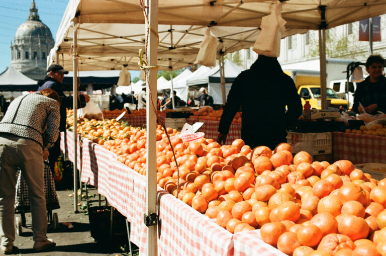 Photo by Matt Holland-gray