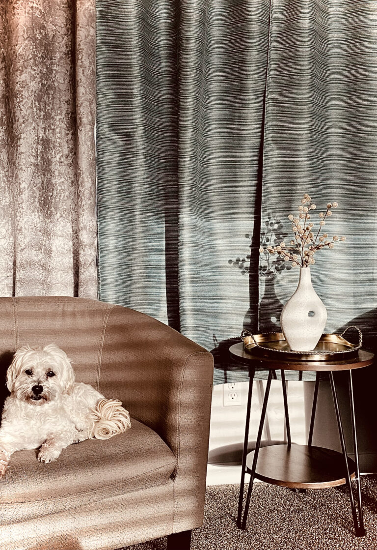 Photo by William Wright