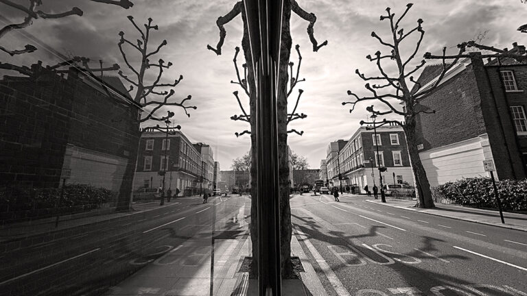 Photo by Franck Toto