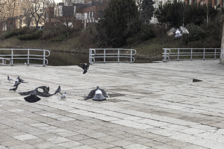 Photo by Marco Empanadilla