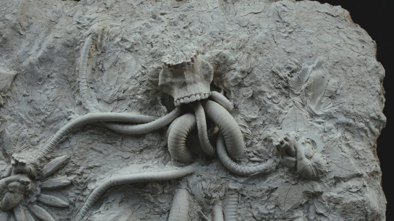 Photo by John Eelman