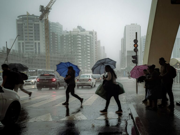 Photo by B.M. Garcia