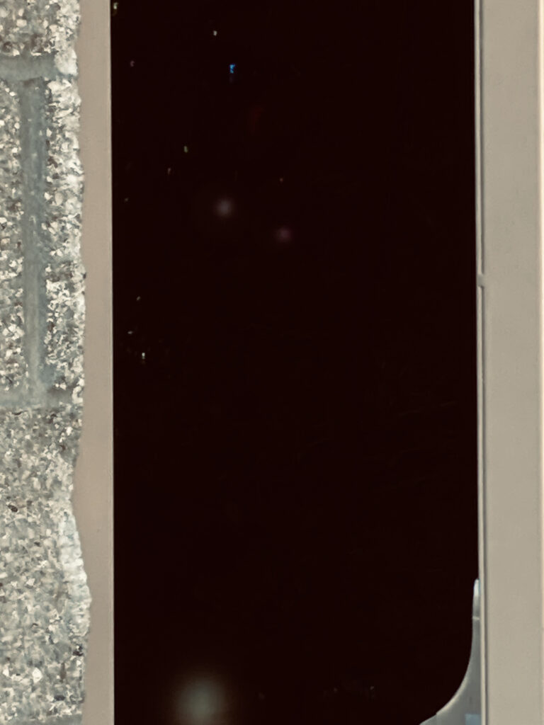 Photo by Elijah Wright