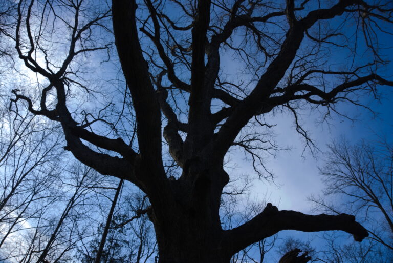 Photo by Hansen Tivoli