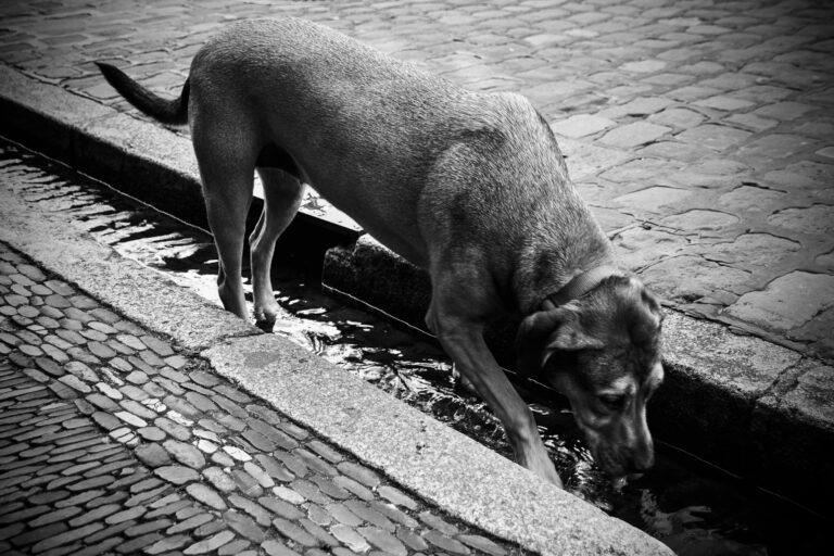 Photo by Jef 📷🍀