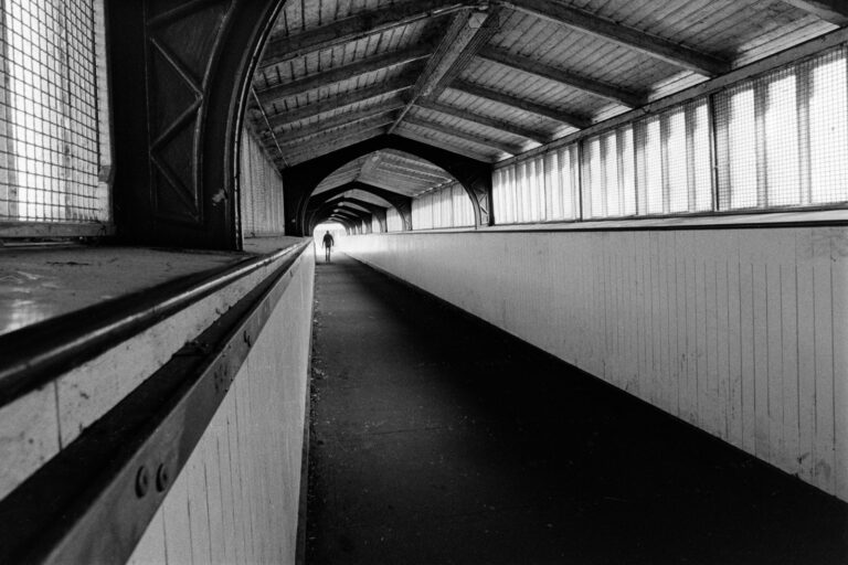 Photo by Jed Pearson