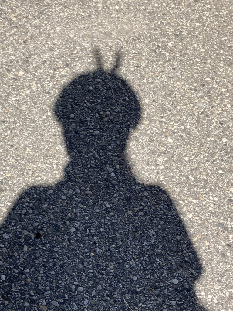 Photo by Elijah Wright