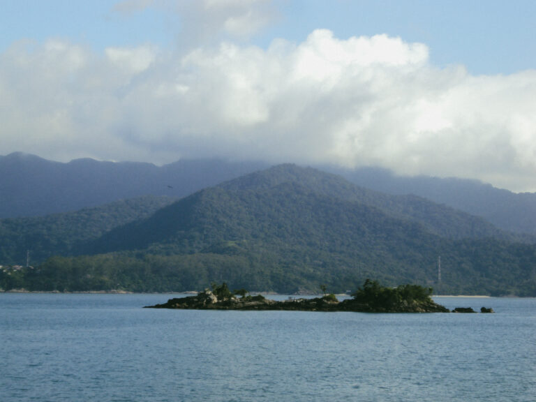 Photo by Amanda Reis