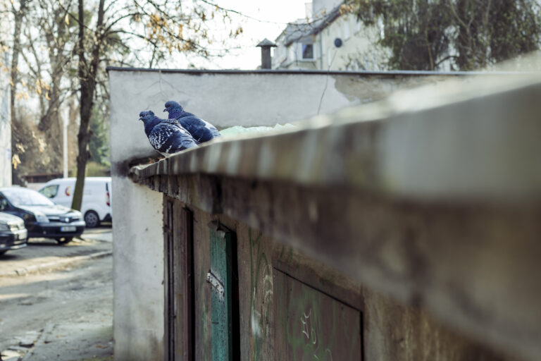 Photo by Marco Empanadilla