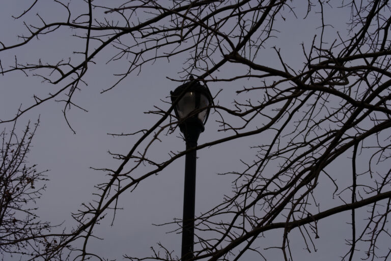 Photo by Hansen Tivoli